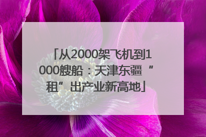 从2000架飞机到1000艘船：天津东疆“租”出产业新高地