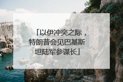 以伊冲突之际，特朗普会见巴基斯坦陆军参谋长