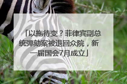 以拖待变？菲律宾副总统弹劾案被退回众院，新一届国会7月成立