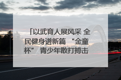 以武育人展风采 全民健身谱新篇 “金童杯” 青少年散打搏击邀请赛圆满落幕