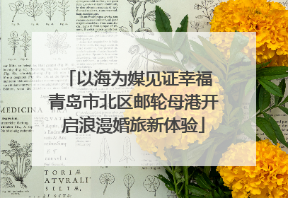 以海为媒见证幸福 青岛市北区邮轮母港开启浪漫婚旅新体验