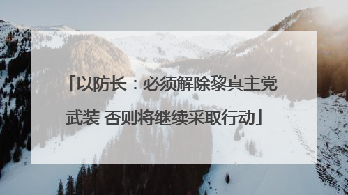 以防长：必须解除黎真主党武装 否则将继续采取行动