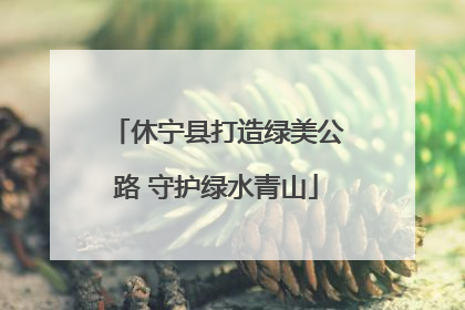 休宁县打造绿美公路 守护绿水青山