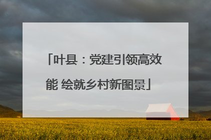 叶县：党建引领高效能 绘就乡村新图景
