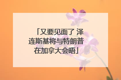 又要见面了 泽连斯基将与特朗普在加拿大会晤