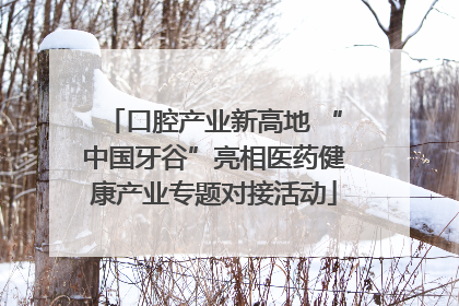 口腔产业新高地 “中国牙谷”亮相医药健康产业专题对接活动