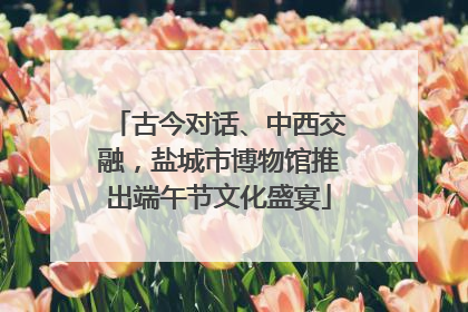 古今对话、中西交融，盐城市博物馆推出端午节文化盛宴