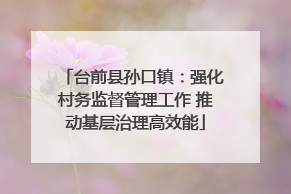 台前县孙口镇：强化村务监督管理工作 推动基层治理高效能