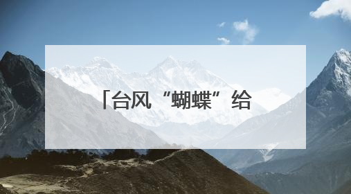 台风“蝴蝶”给海南带来强风雨