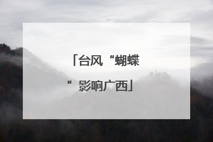 台风“蝴蝶”影响广西