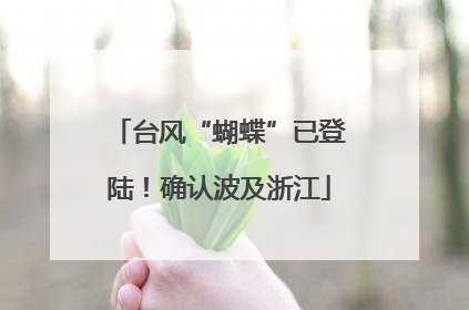 台风“蝴蝶”已登陆！确认波及浙江
