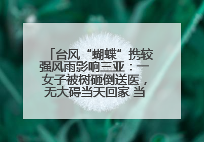 台风“蝴蝶”携较强风雨影响三亚：一女子被树砸倒送医，无大碍当天回家 当地已紧急清障