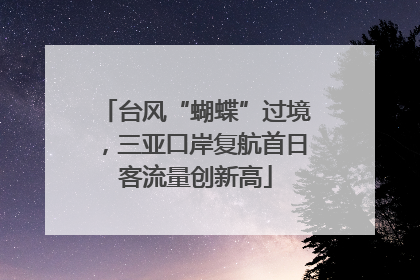 台风“蝴蝶”过境，三亚口岸复航首日客流量创新高
