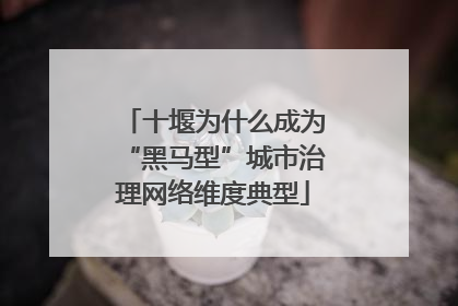 十堰为什么成为“黑马型”城市治理网络维度典型