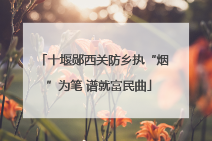 十堰郧西关防乡执“烟”为笔 谱就富民曲