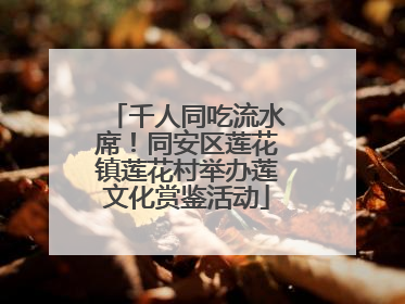 千人同吃流水席！同安区莲花镇莲花村举办莲文化赏鉴活动