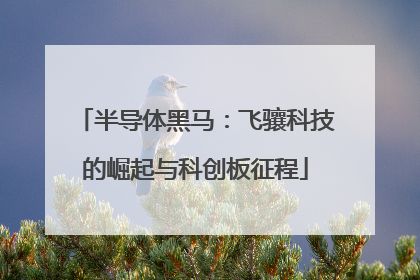 半导体黑马：飞骧科技的崛起与科创板征程
