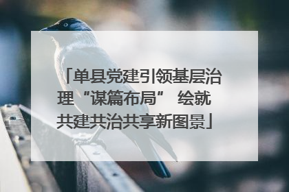 单县党建引领基层治理“谋篇布局” 绘就共建共治共享新图景