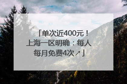 单次近400元！上海一区明确：每人每月免费4次↗