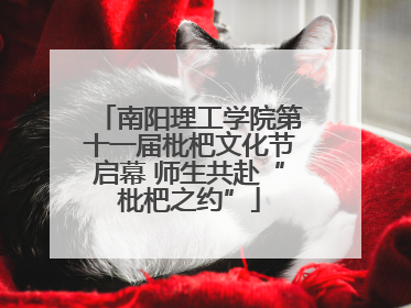 南阳理工学院第十一届枇杷文化节启幕 师生共赴“枇杷之约”