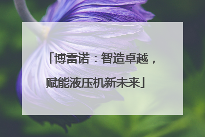 博雷诺：智造卓越，赋能液压机新未来