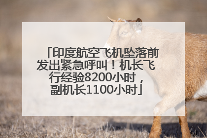 印度航空飞机坠落前发出紧急呼叫！机长飞行经验8200小时，副机长1100小时