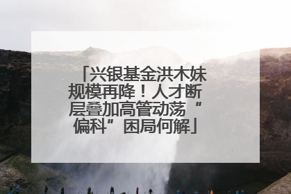 兴银基金洪木妹规模再降！人才断层叠加高管动荡“偏科”困局何解