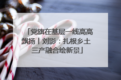 党旗在基层一线高高飘扬丨刘影：扎根乡土 三产融合绘新景