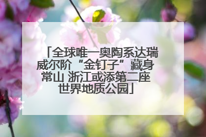 全球唯一奥陶系达瑞威尔阶“金钉子”藏身常山 浙江或添第二座世界地质公园
