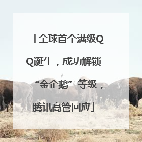 全球首个满级QQ诞生，成功解锁“金企鹅”等级，腾讯高管回应