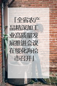 全省农产品精深加工业高质量发展推进会议在绥化海伦市召开