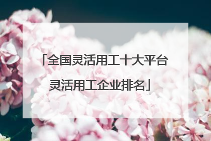 全国灵活用工十大平台 灵活用工企业排名
