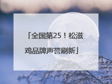 全国第25！松滋鸡品牌声誉刷新
