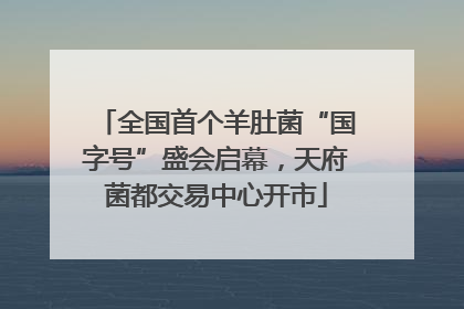 全国首个羊肚菌“国字号”盛会启幕，天府菌都交易中心开市