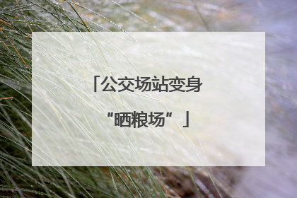 公交场站变身“晒粮场”