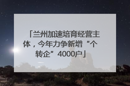 兰州加速培育经营主体，今年力争新增“个转企”4000户