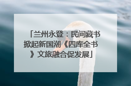 兰州永登：民间藏书掀起新国潮《四库全书》文旅融合促发展