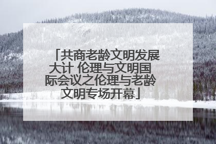 共商老龄文明发展大计 伦理与文明国际会议之伦理与老龄文明专场开幕