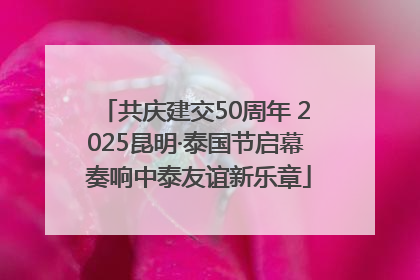 共庆建交50周年 2025昆明·泰国节启幕 奏响中泰友谊新乐章