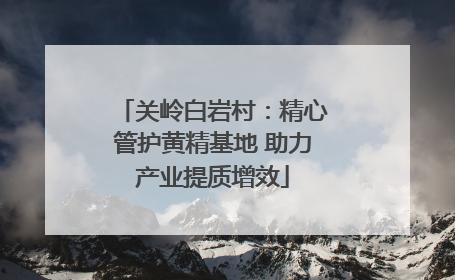 关岭白岩村：精心管护黄精基地 助力产业提质增效