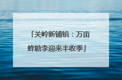 关岭新铺镇：万亩蜂糖李迎来丰收季