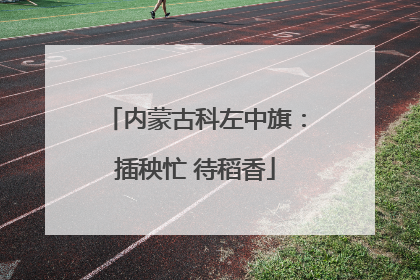 内蒙古科左中旗：插秧忙 待稻香