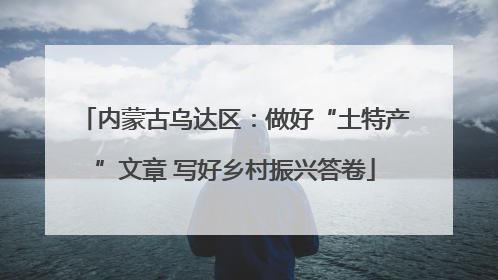 内蒙古乌达区：做好“土特产”文章 写好乡村振兴答卷