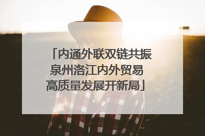 内通外联双链共振 泉州洛江内外贸易高质量发展开新局