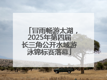 冒雨畅游太湖，2025年第四届长三角公开水域游泳锦标赛落幕