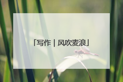 写作｜风吹麦浪