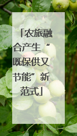 农旅融合产生“既保供又节能”新范式