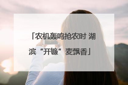 农机轰鸣抢农时 湖滨“开镰”麦飘香