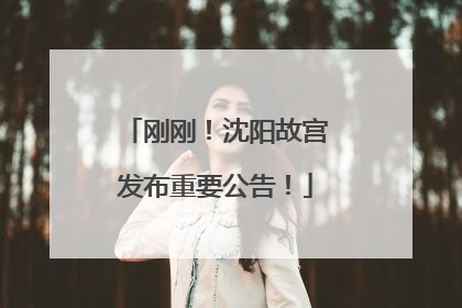 刚刚！沈阳故宫发布重要公告！