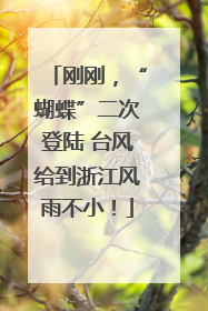 刚刚，“蝴蝶”二次登陆 台风给到浙江风雨不小！
